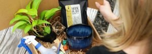 The Plant Club